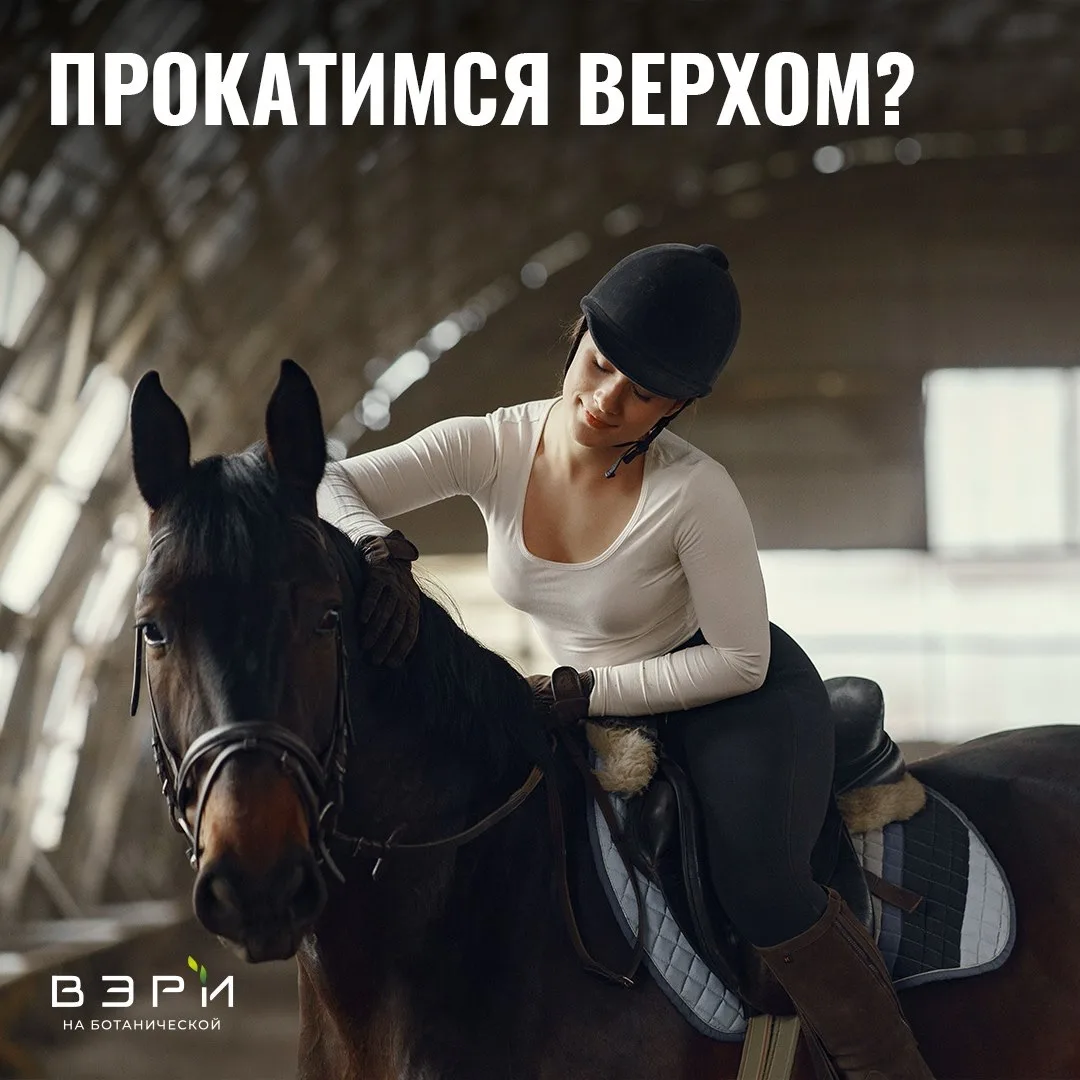 Знаете ли вы, что лошади могут улавливать сердцебиение человека на расстоянии более 1 м...