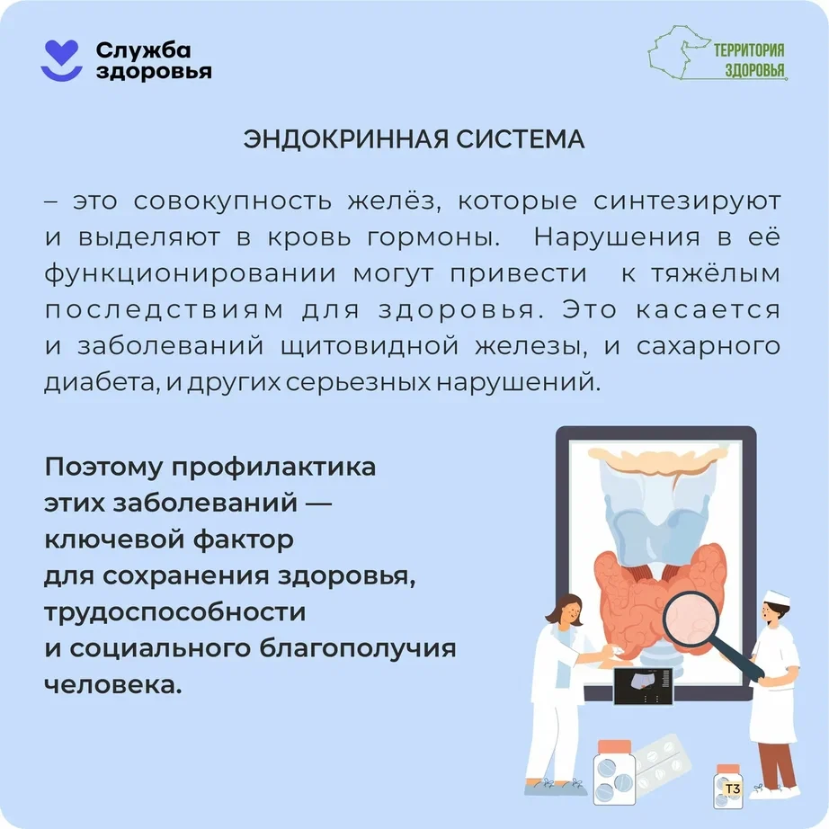 ✨ Как помочь своей эндокринной системе? ✨