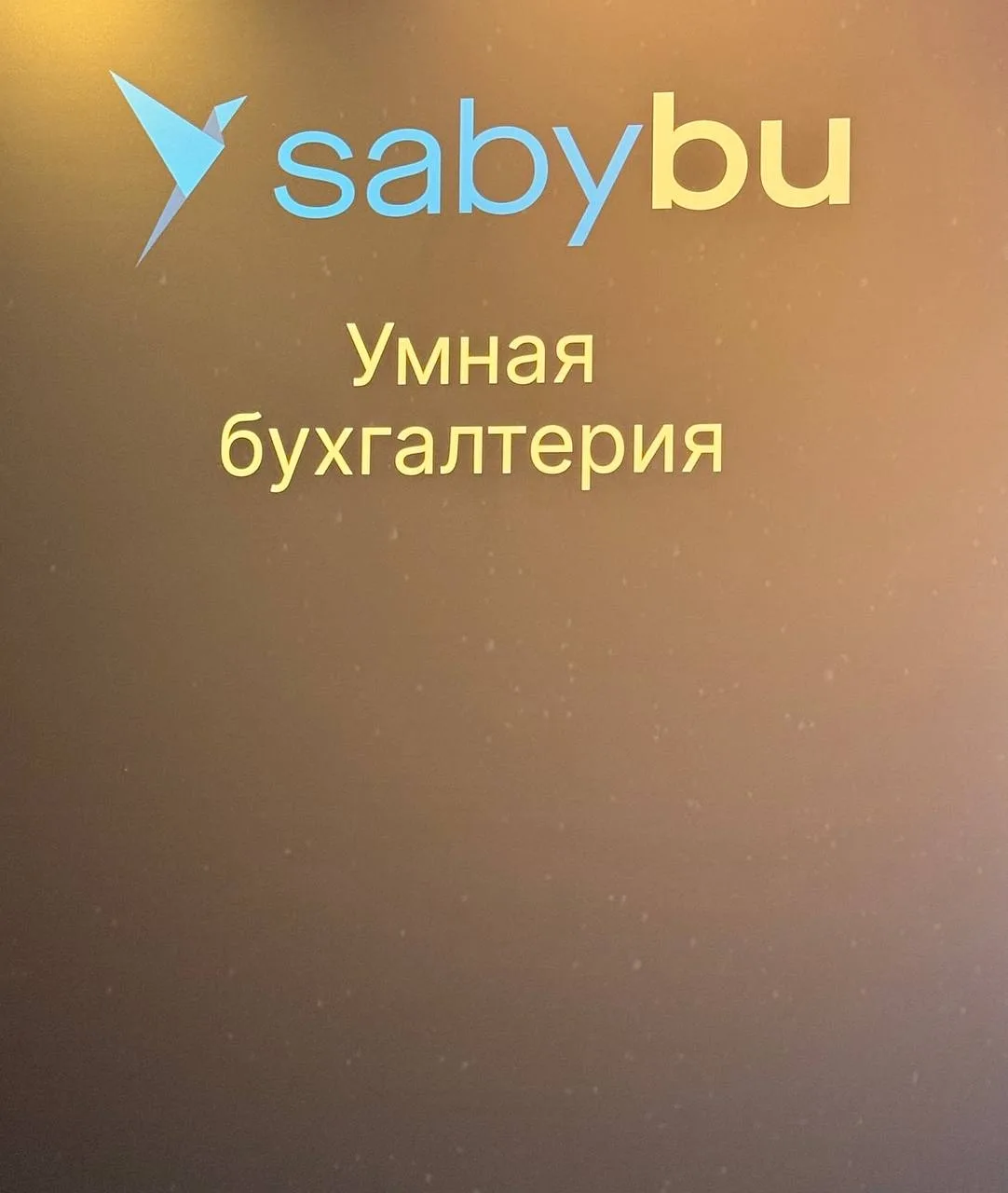 Сегодня принял участие в качестве спикера на Всероссийской конференции бухгалтеров.

В рамках конфер