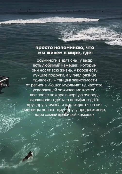 Как будто мем вдохновлен энциклопедией интересных фактов «всё обо всем» 😅 я всегда не ...