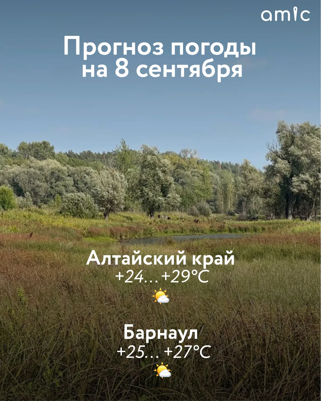 Доброе утро! О погоде в Алтайском крае 8 сентября