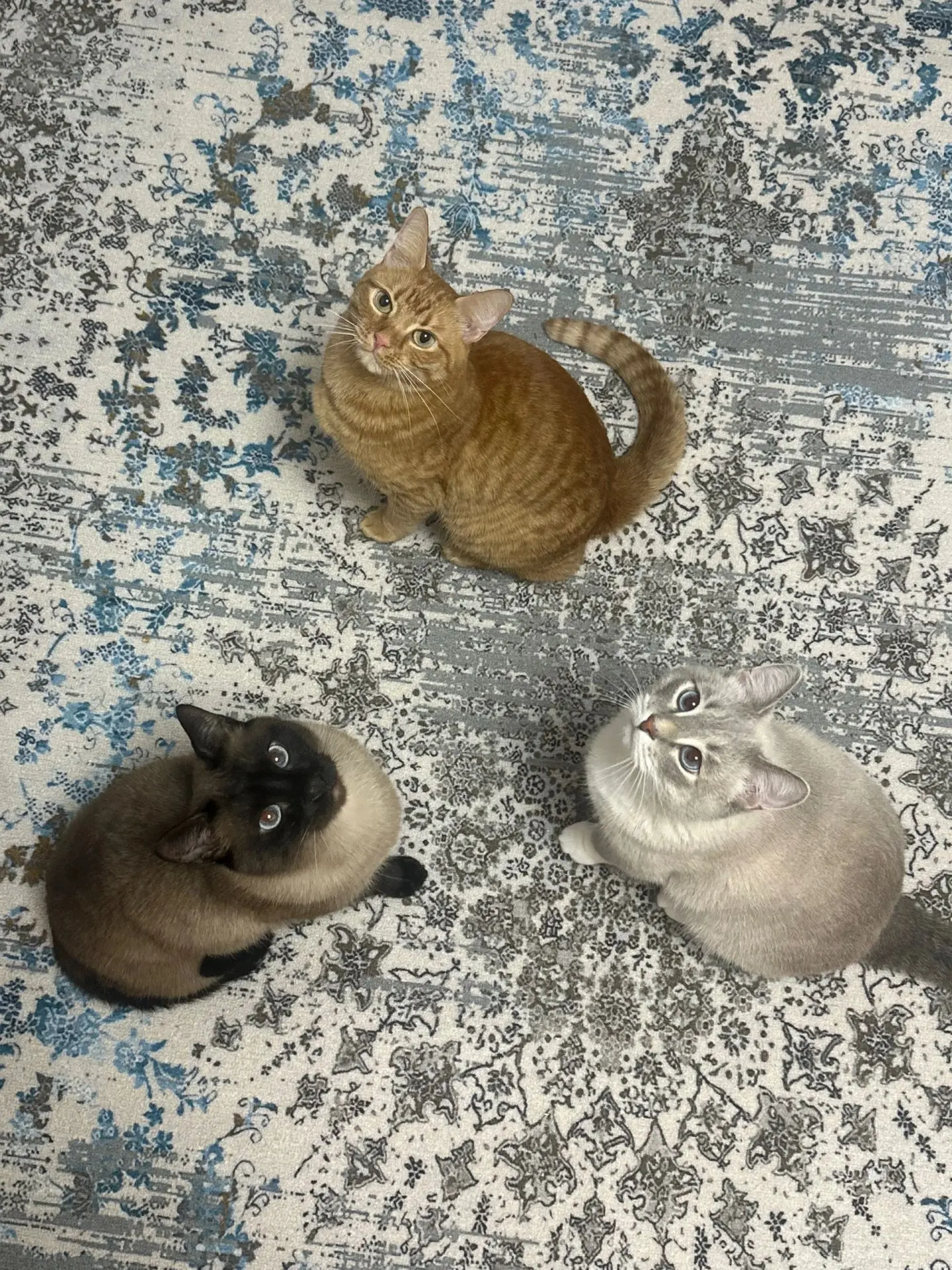 #Мася