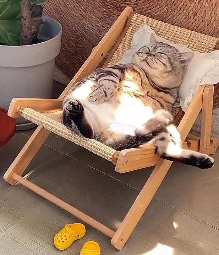☀️ Доброе воскресное утро, Хайбулла! 

Лето балует нас по-настоящему жаркими днями. Пожалуйста, будь