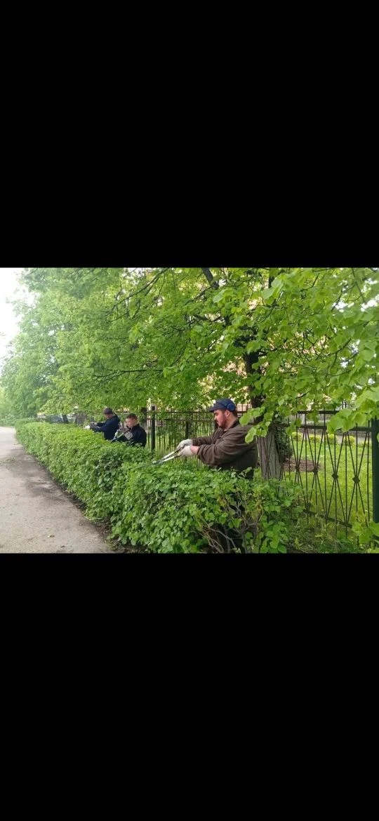 🌿 Студенты преобразили территорию колледжа в честь Дня ландшафтной архитектуры! 🌿