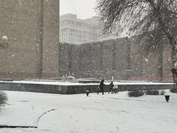 ❄ Синоптики рассказали, когда в Ростове пойдет первый снег