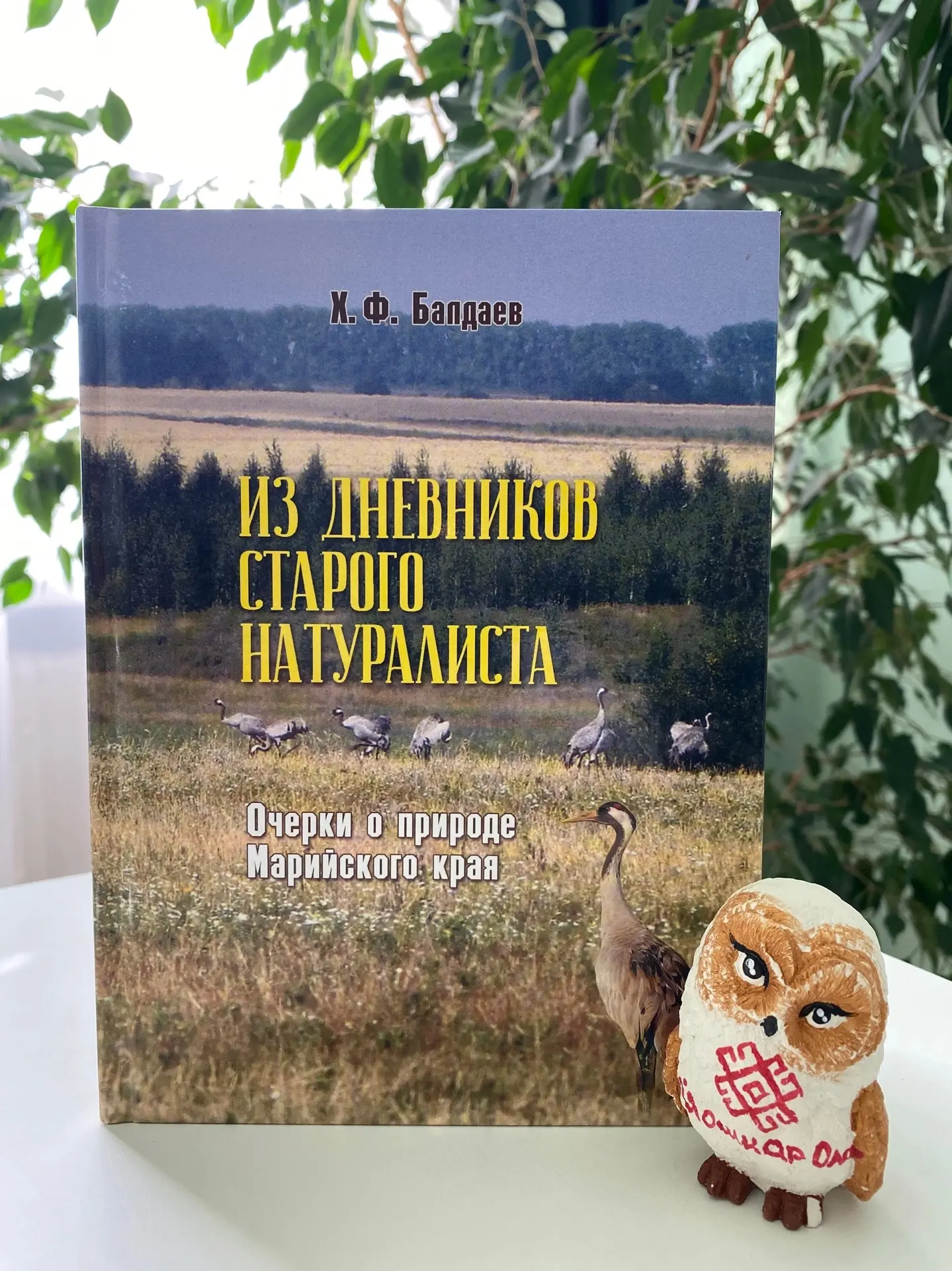 📚Книги от Марийского книжного издательства МОЖНО КУПИТЬ — теперь у нас! 
✅Не упусти шанс приобрести