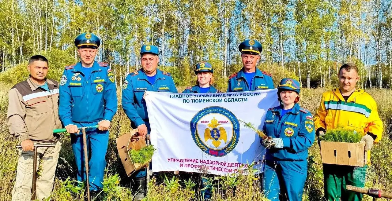 В Тюменской области сотрудники МЧС и лесной охраны высадили хвойные деревья в честь пре...