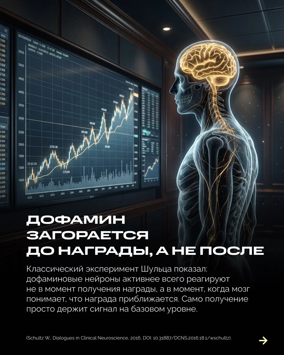 Изображение 2 к публикации «Александр Дзидзария»