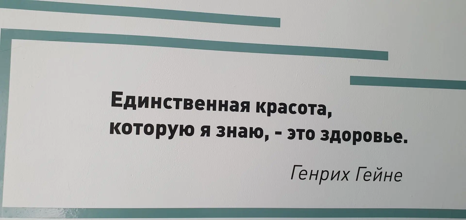 А как же быть с фразой: нет людей здоровых - есть необследованные🙈🤗😁