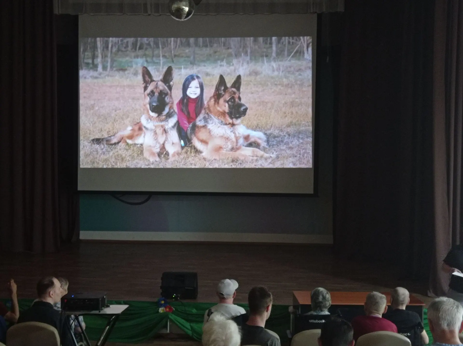 Два мира - домашние и дикие животные🐕‍🦺🦁🦊
