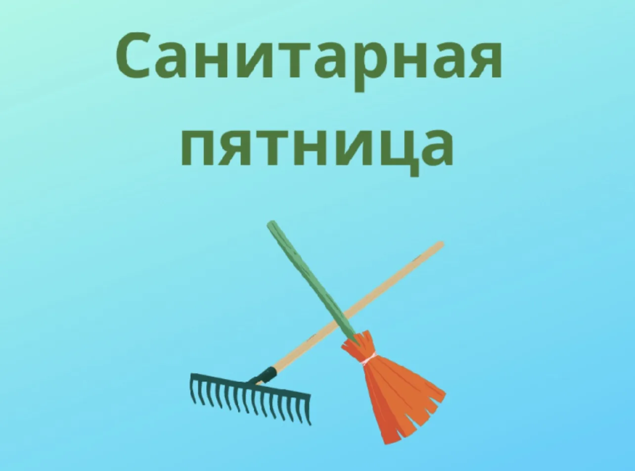 «Санитарная пятница» — это  общее название для мероприятий по уборке территории, которые проводятся 