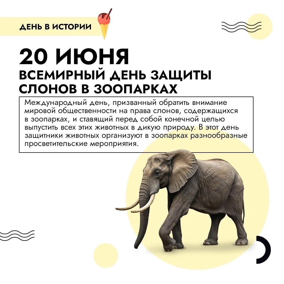 20 июня — важная дата в календаре защитников природы. Сегодня отмечается Всемирный день защиты слоно