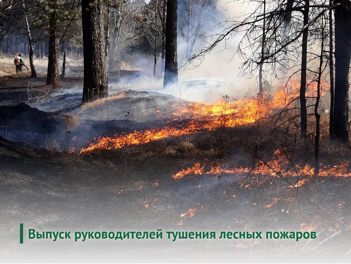 28.05.2026 в Институте 8 человек завершили дистанционное обучение по программе повышени...