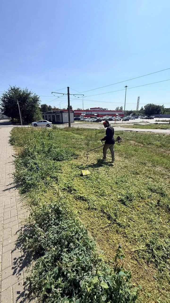 На улице С. В. Мацоты начали покос сорной травы
