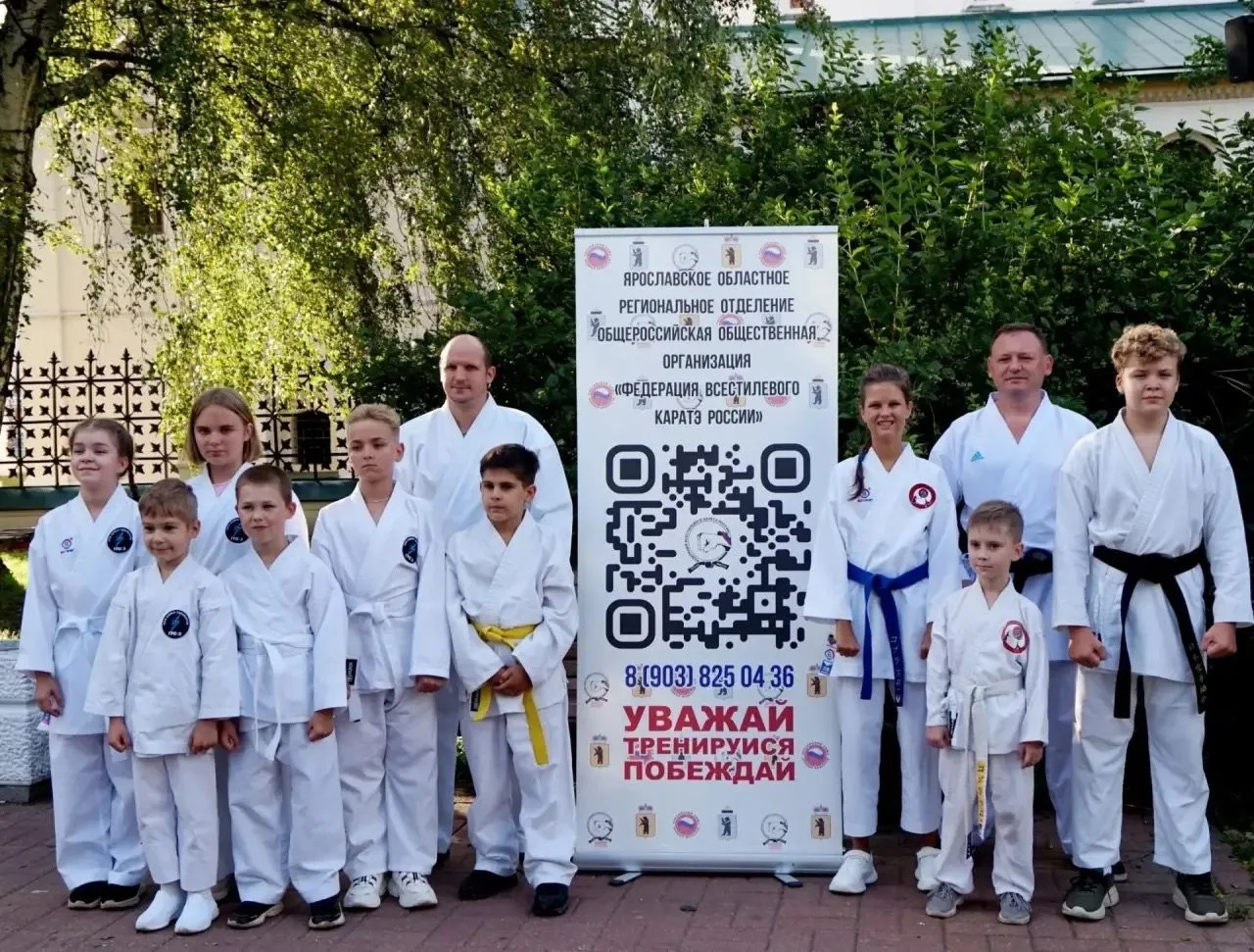 Правительство Ярославской области включило всестилевое каратэ в региональный проект по ...