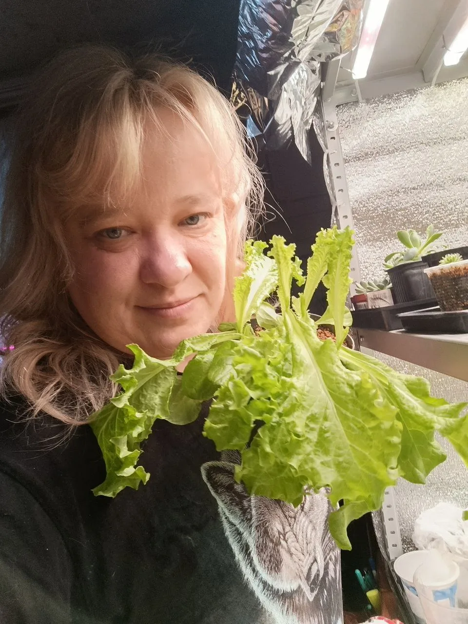 💚💚💚Зелень!!!Я фанат салатов!!Просто обожаю их и выращиваю круглый год,и в этом году ...
