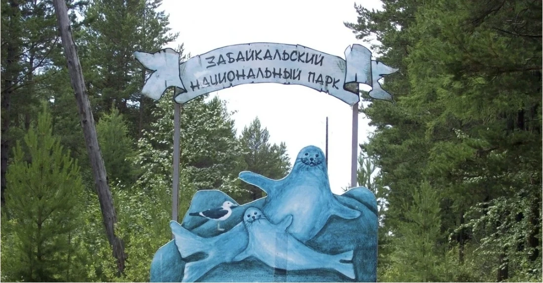 В Забайкальском нацпарке Бурятии ввели жёсткие ограничения из‑за всплеска активности ме...