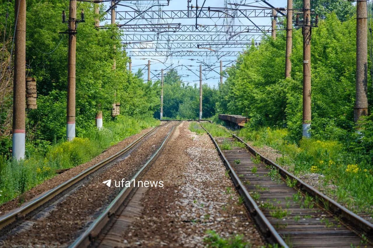 Тишины, тишины хочу…

+17°С, днем будет +25°С, но пасмурно, а вечером обещают +20°С.

📸: посёлок Ни