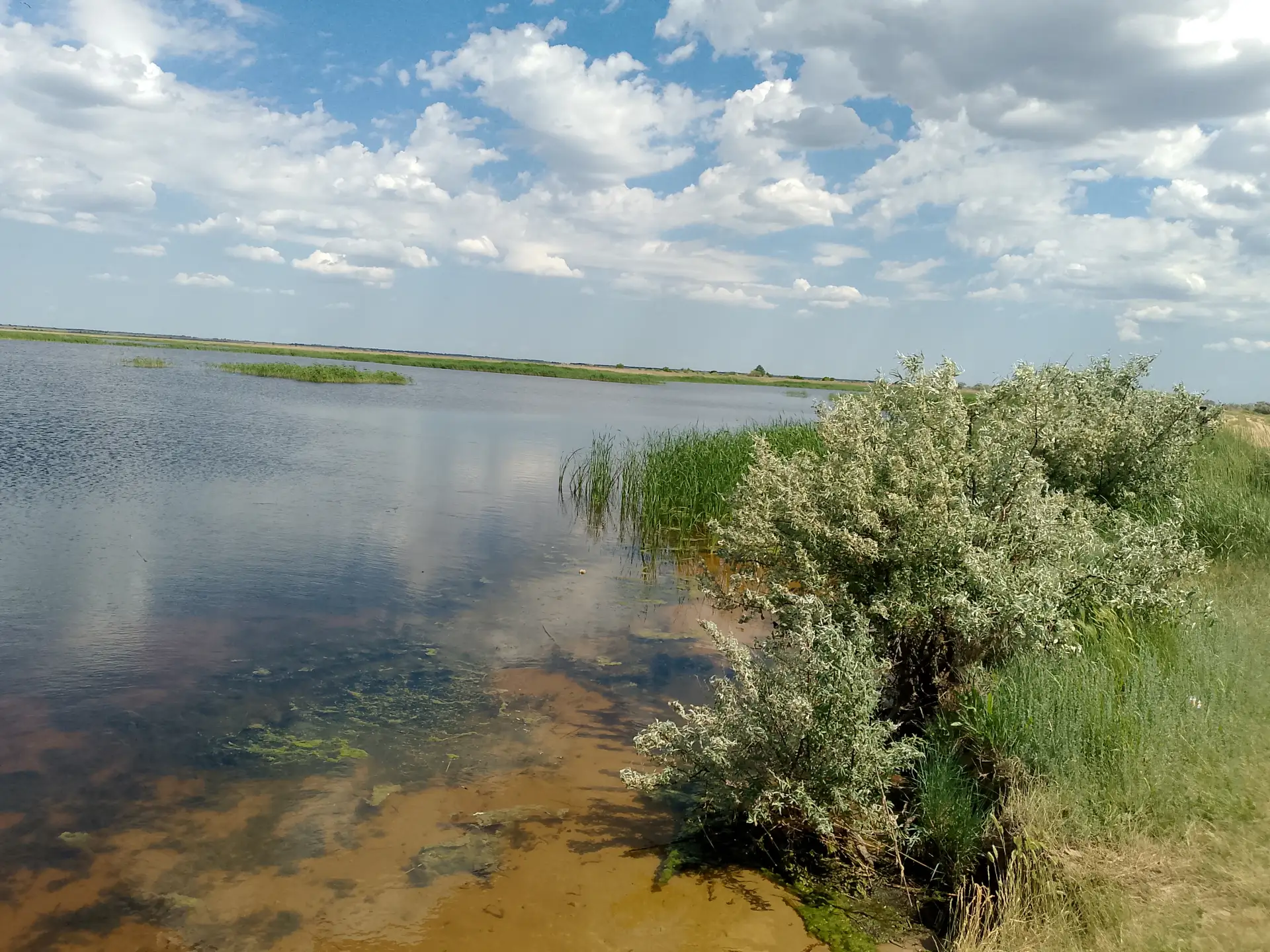 Профилактические рейды на водных объектах!