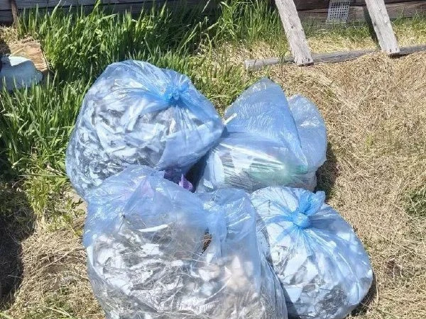 Волонтёры на Камчатке привели в порядок Димшиканский кордон в природном парке «Быстринский»

В приро