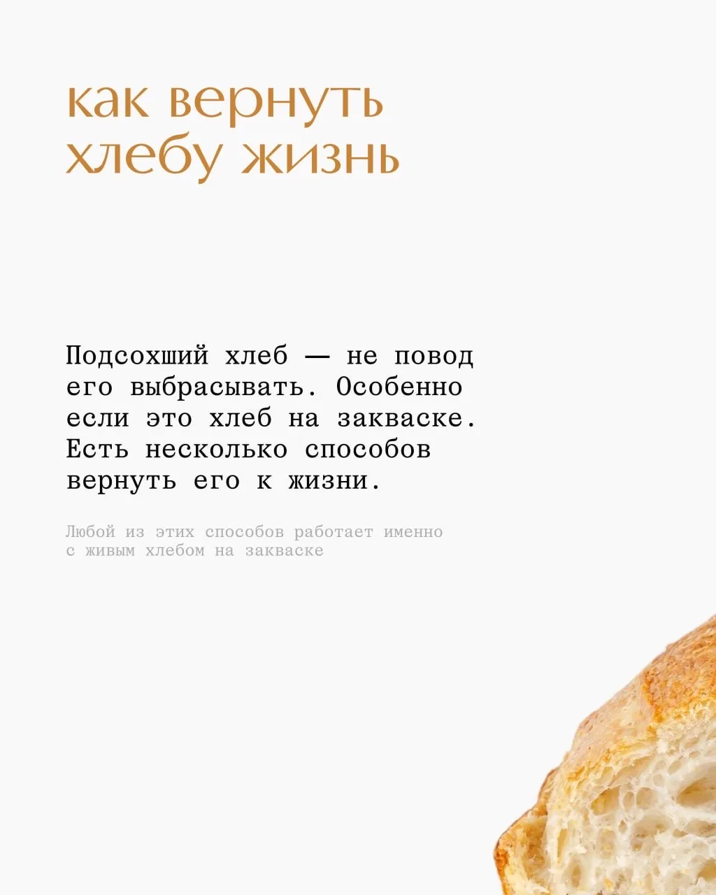Делимся с вами, как можно продлить жизнь хлебу
