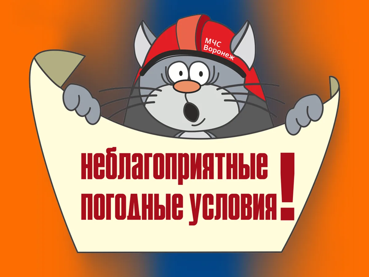 ‼От Воронежского центра по гидрометеорологии и мониторингу окружающей среды получен Кон...
