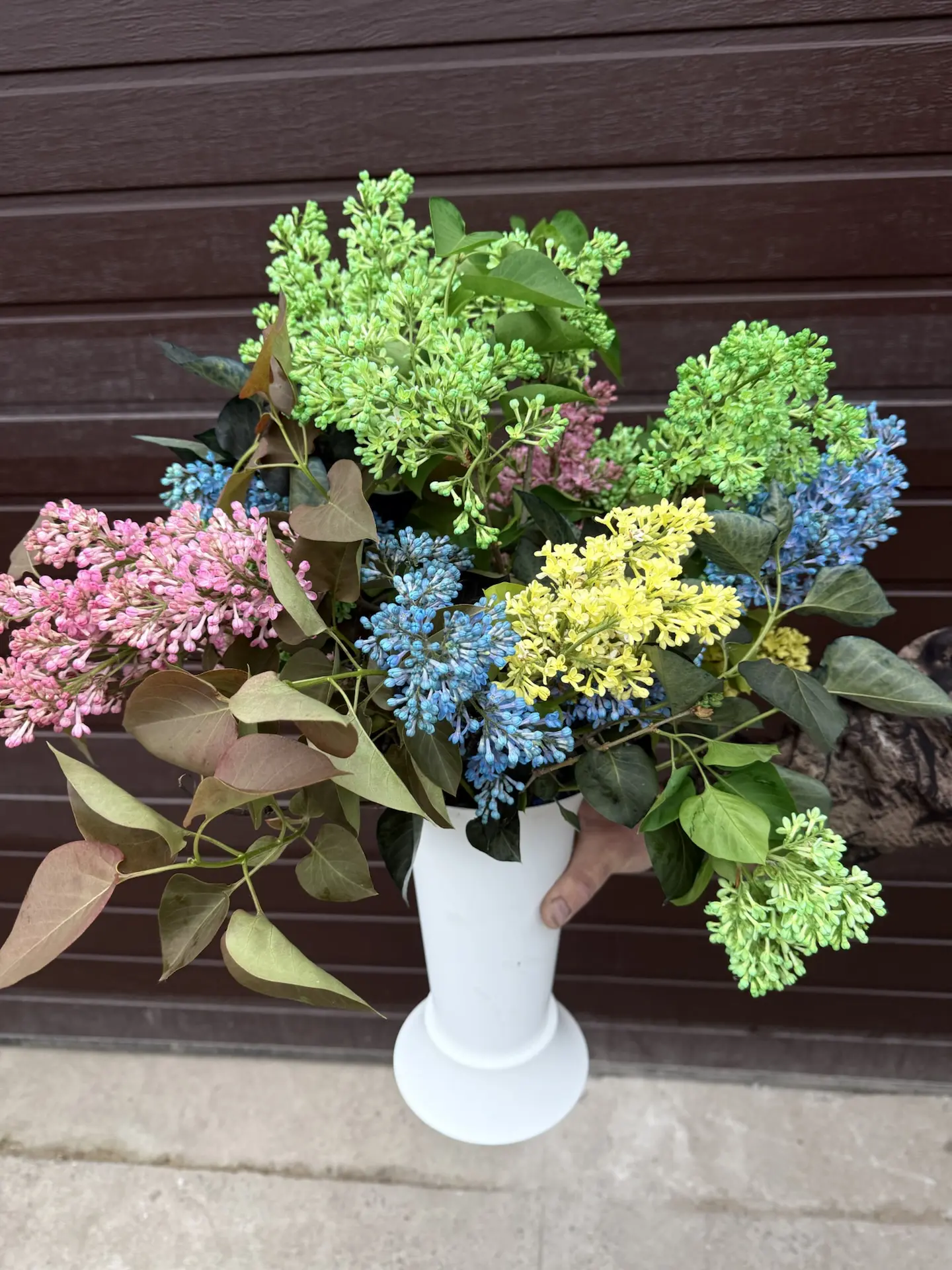 🌸 ВОЛШЕБНАЯ СИРЕНЬ ВСЕХ ЦВЕТОВ РАДУГИ!🌈