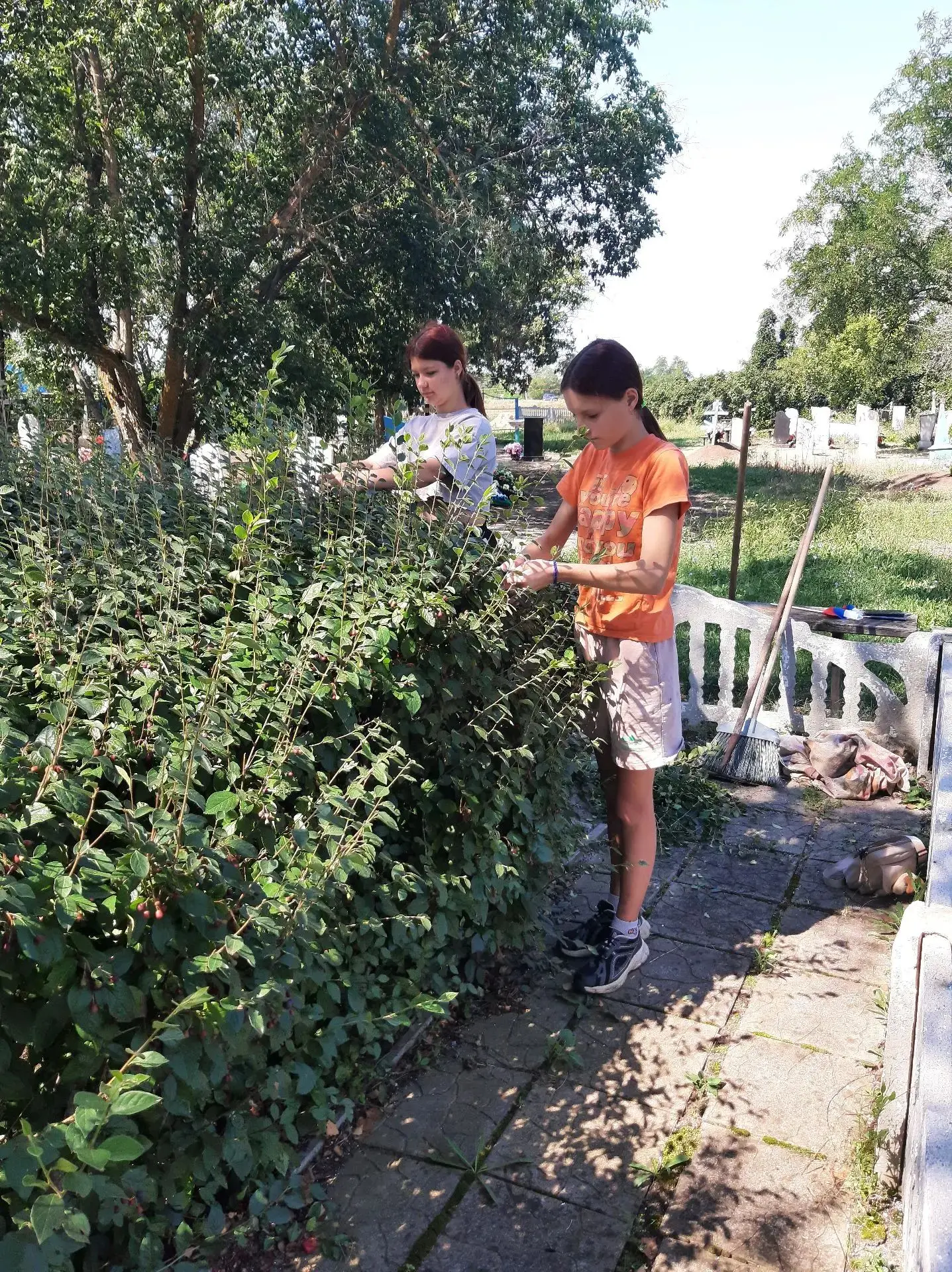 Ребята из села Первомайского отметили День Государственного флага трудовым десантом: на...