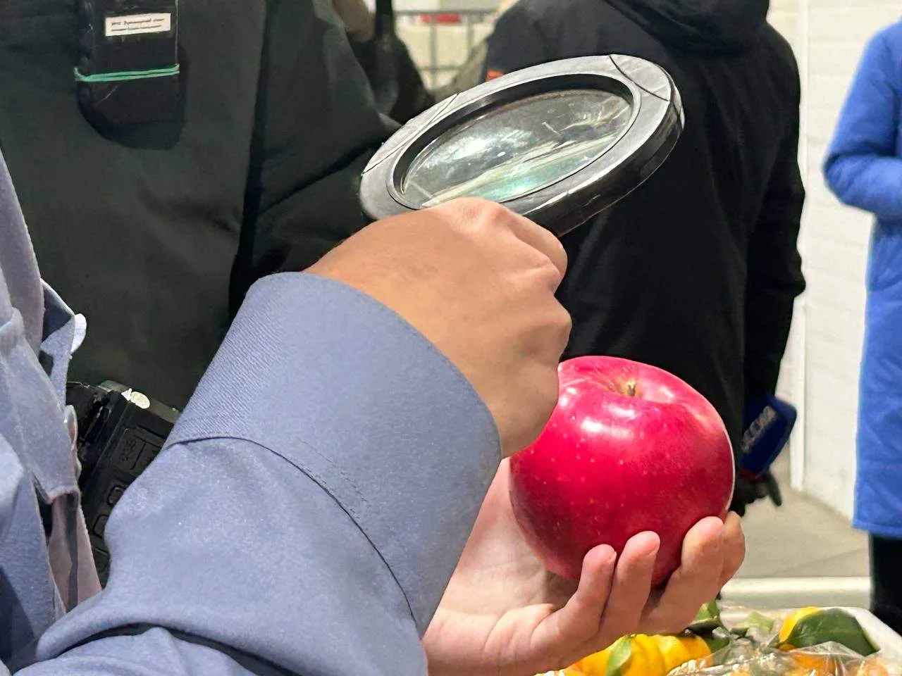 🍊🥦В Красноярский край под контролем Россельхознадзора ввезено более 118 тыс. тонн имп...