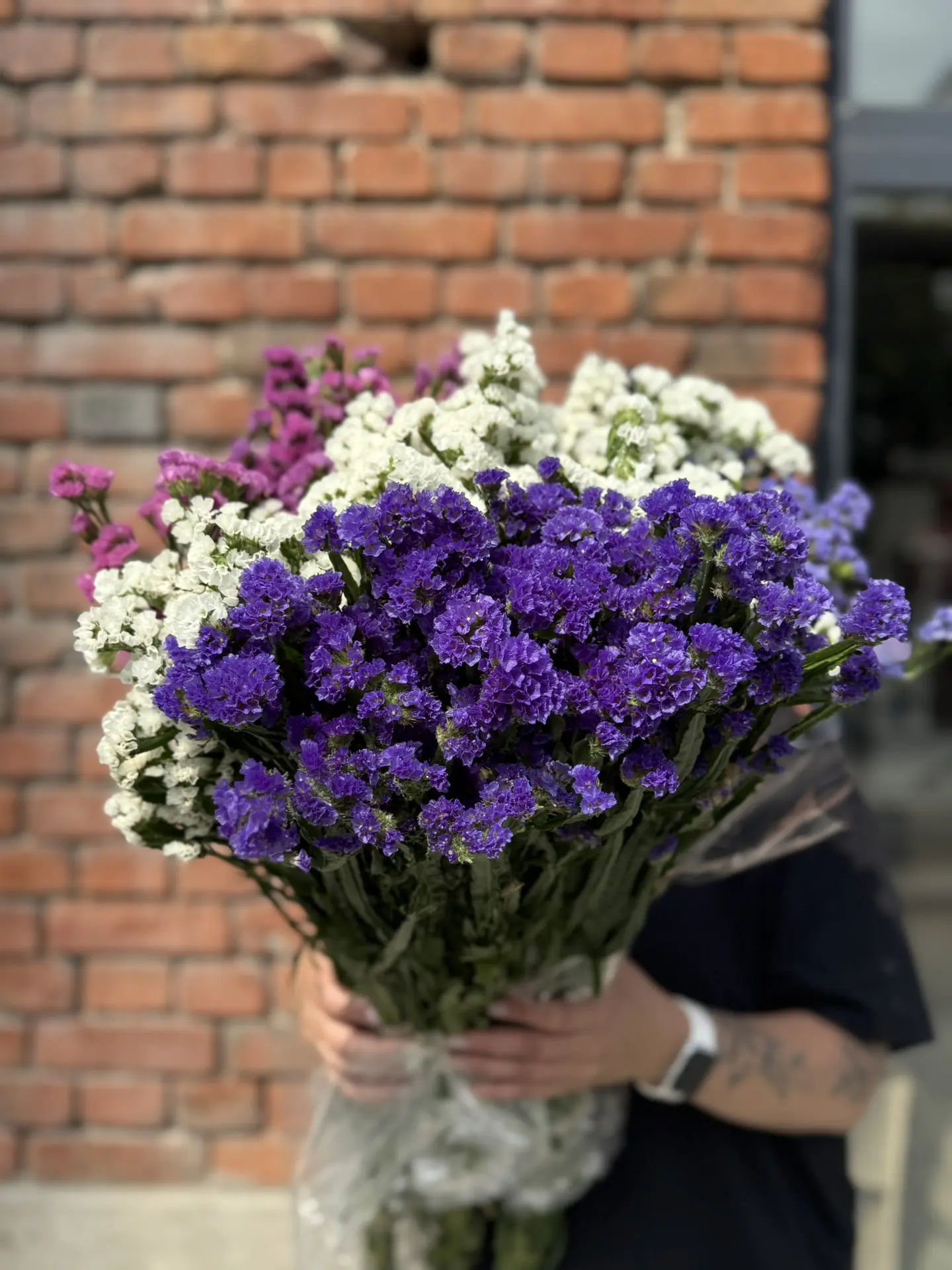 Статица