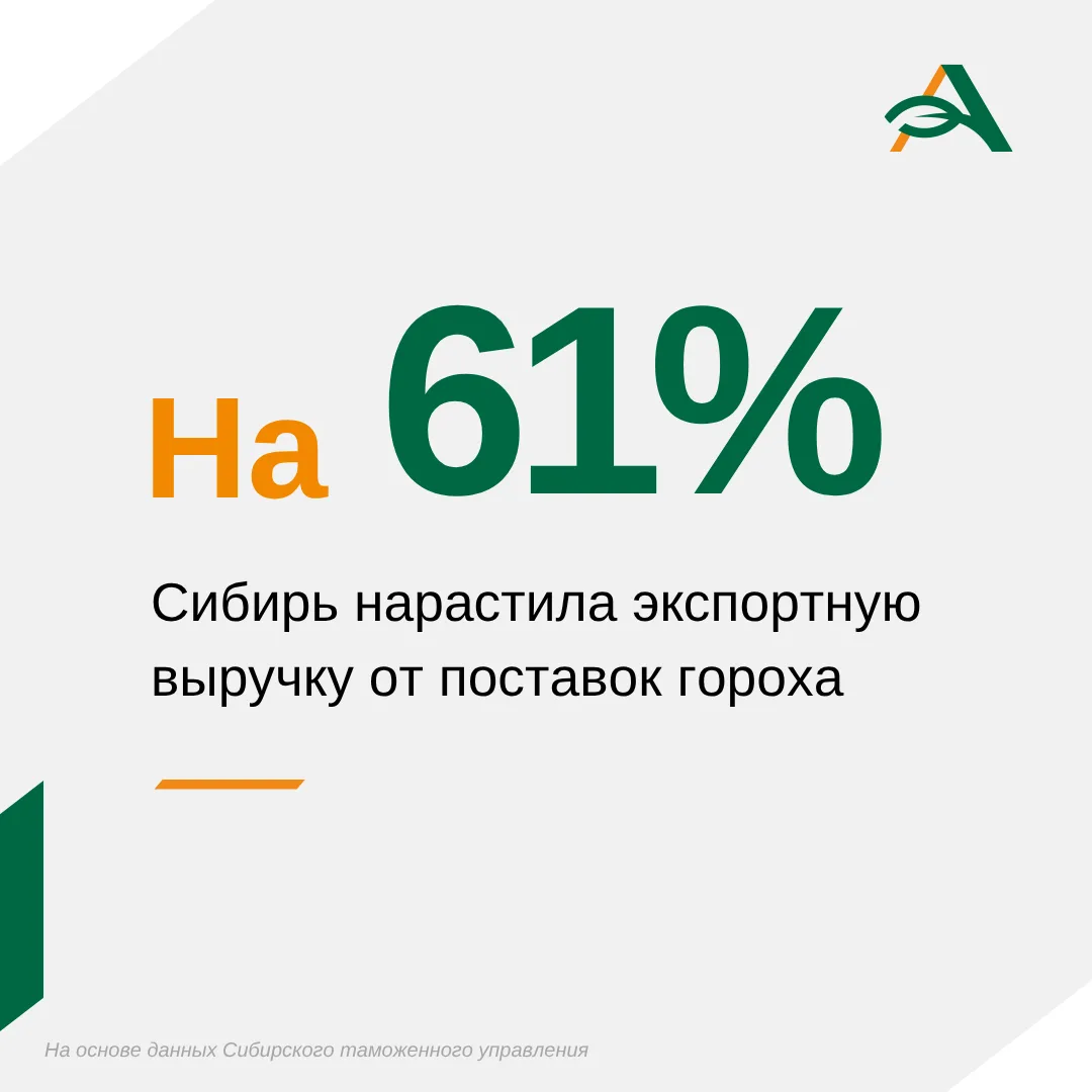Сибирские предприниматели за январь–апрель экспортировали около 272 тыс. тонн гороха на 6,6 млрд руб