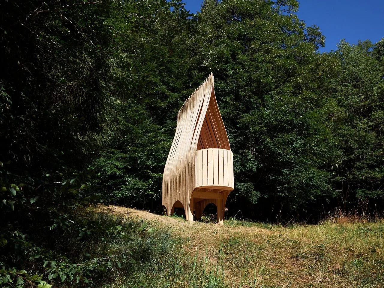 🌳 Архитектура, вписанная в ландшафт