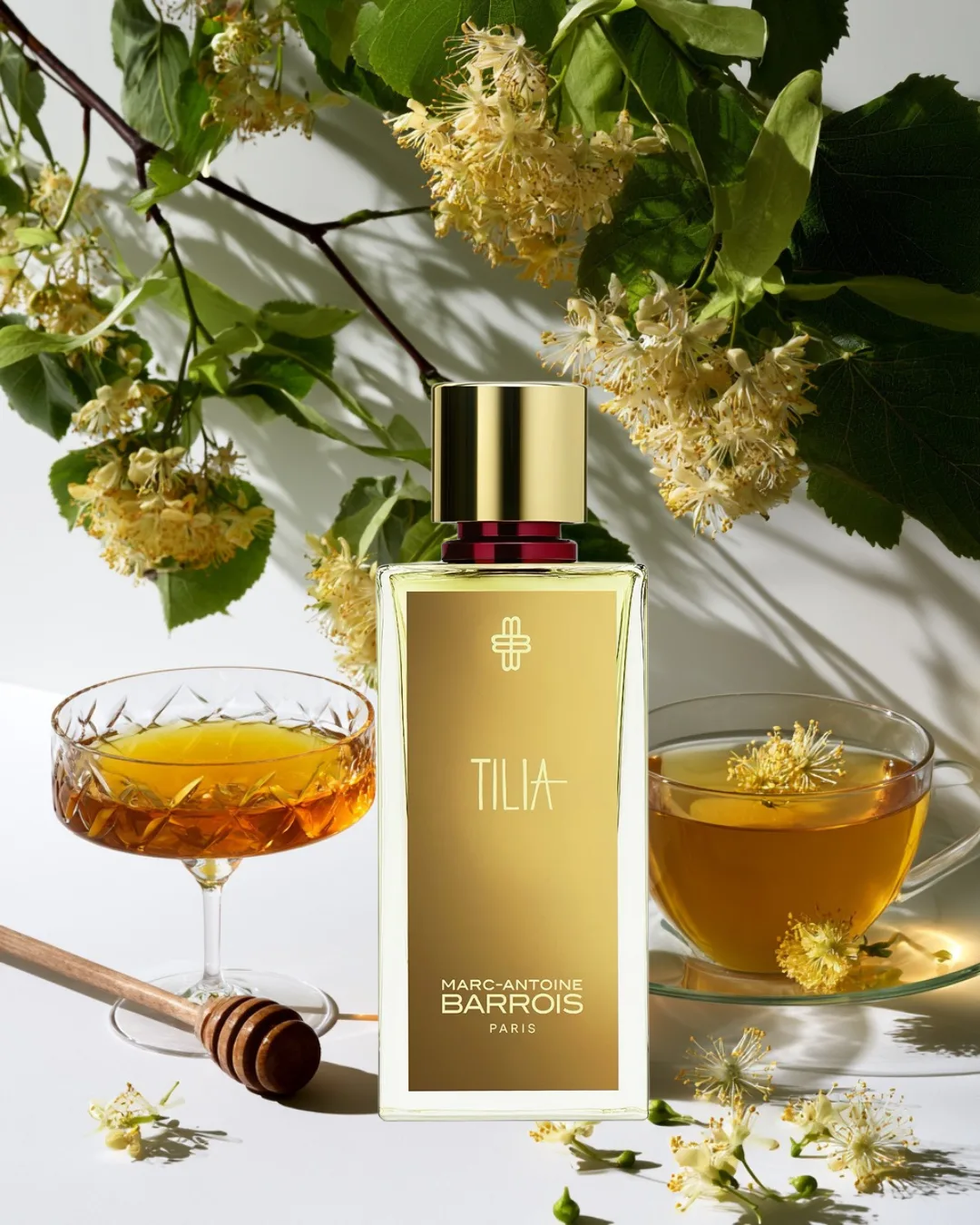 🌿 TILIA · MARC-ANTOINE BARROIS