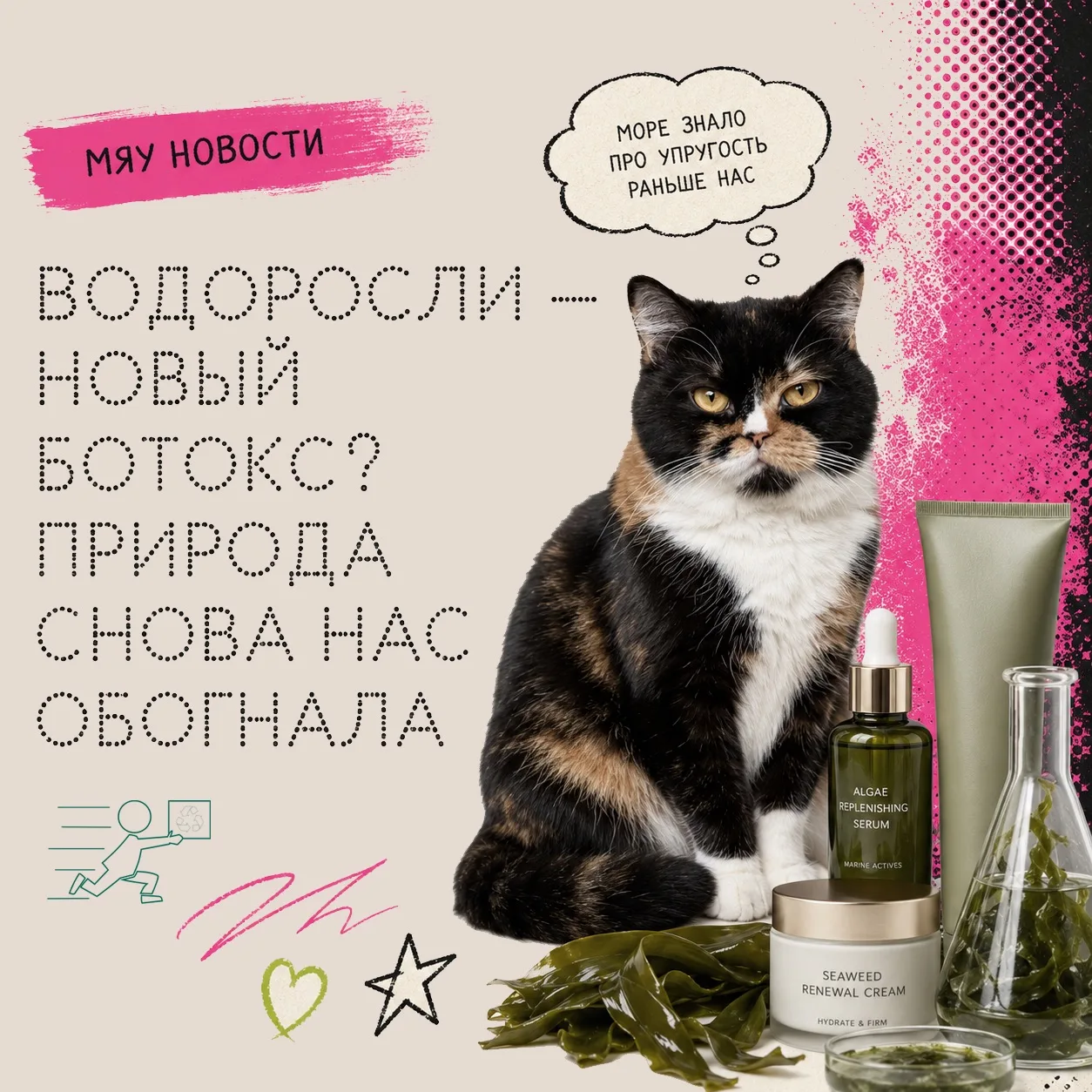 Водоросли — новый ботокс? Природа снова нас обогнала

Принесла на хвосте: учёные изучили зелёную вод
