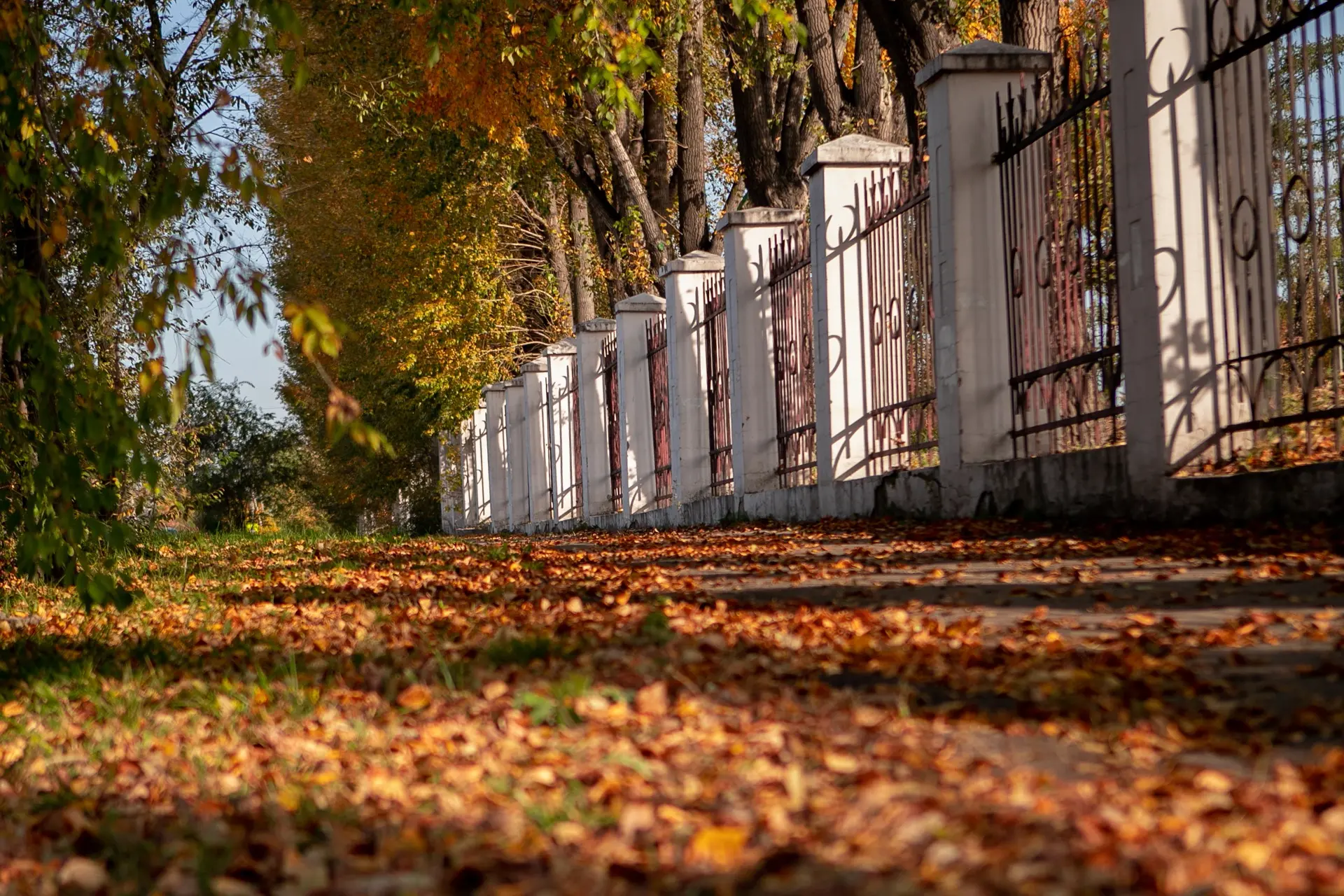 Доброе утро!