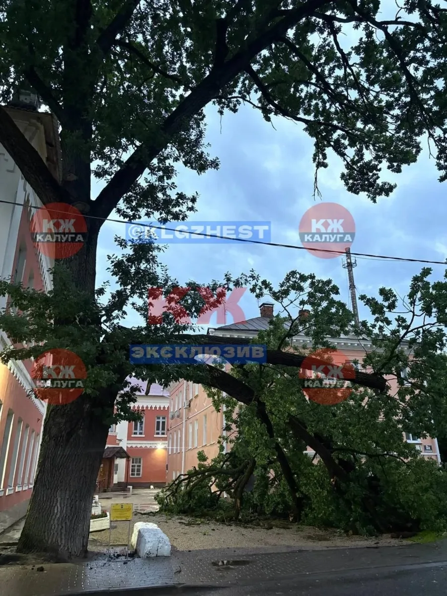 🌳 19 деревьев повалила непогода в Калуге
