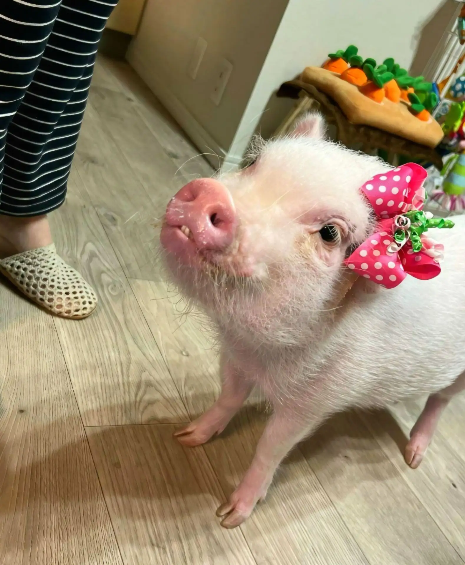Ну, я нарядилась. Где там мои вкусни?