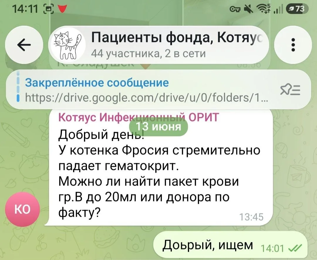 ‼️ Друзья, откликнитесь, пожалуйста, кто-нибудь! Абиссинцы, британцы, ангоры, корниш-рексы🙏 спасите