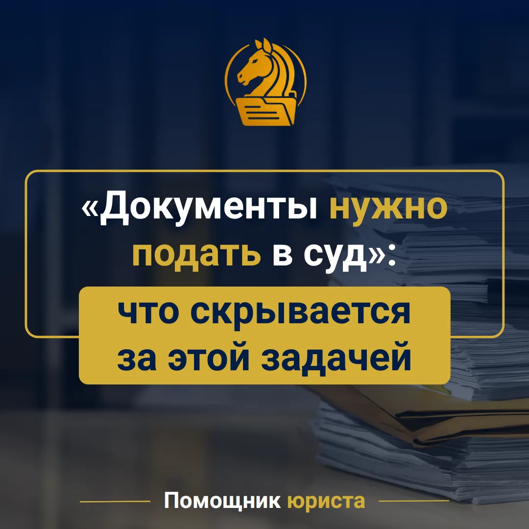 «Документы нужно подать в суд»: что скрывается за этой задачей