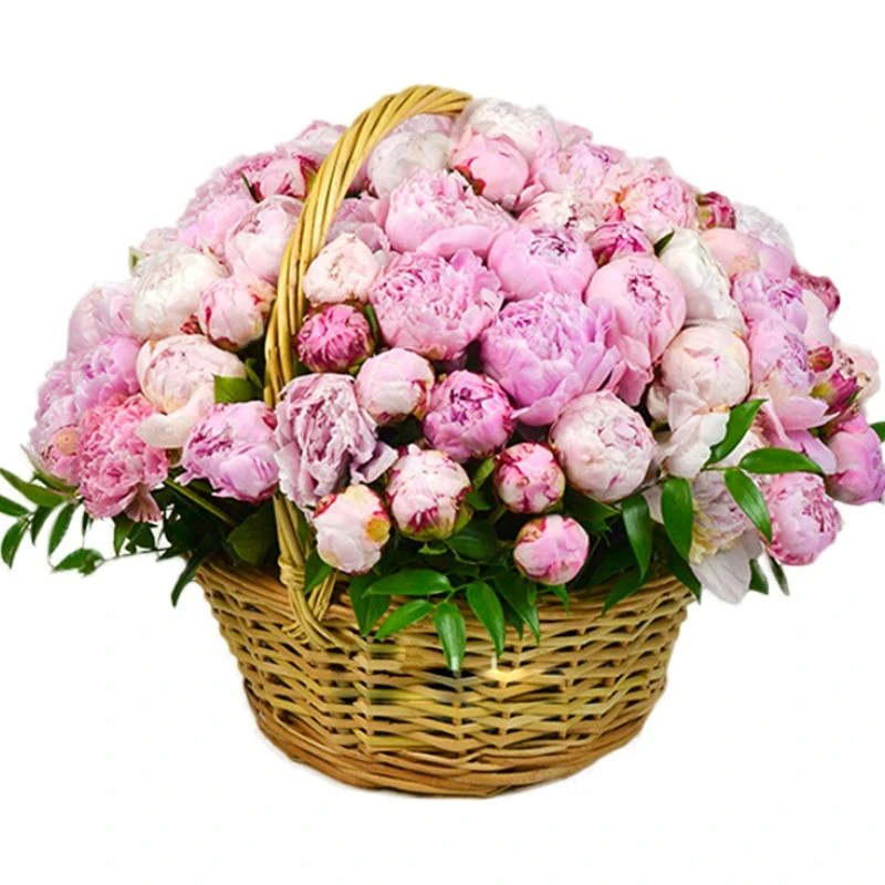 Уважаемая Ольга Александровна!