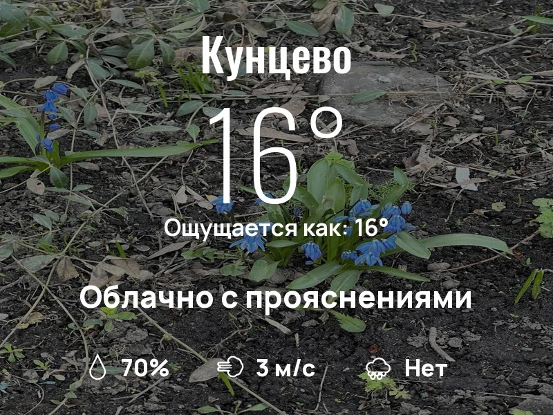 Что с погодой в Кунцево?