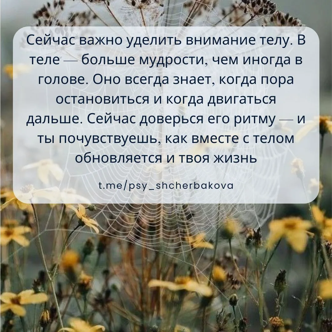 ✨ Неслучайная карта понедельника
