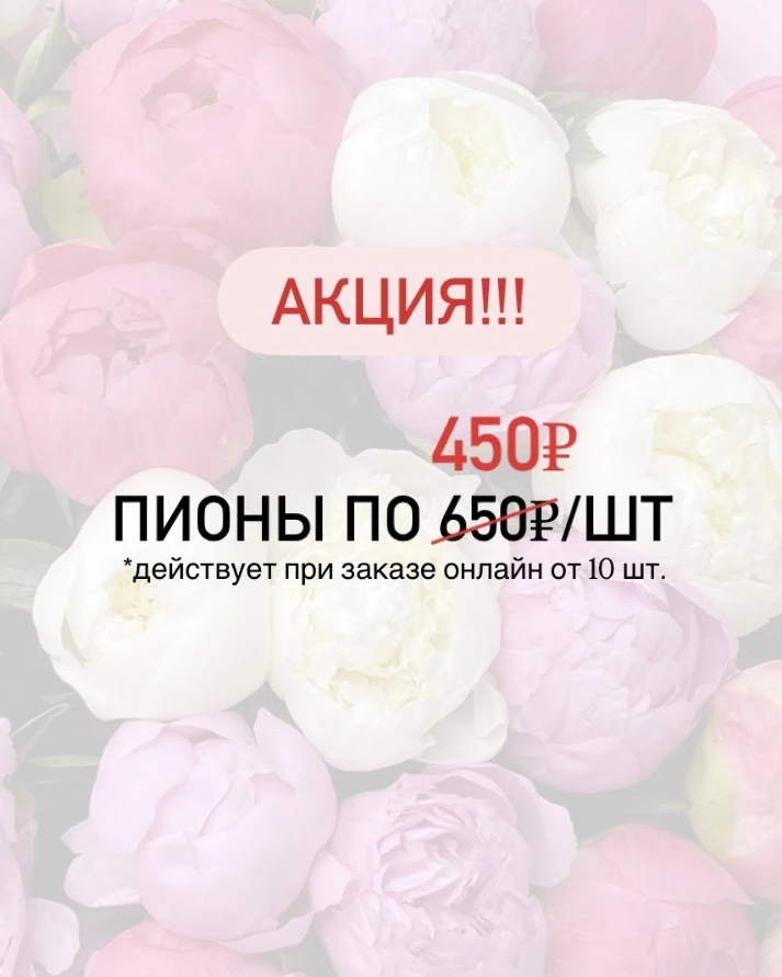 Акция на ПИОНЫ!!!