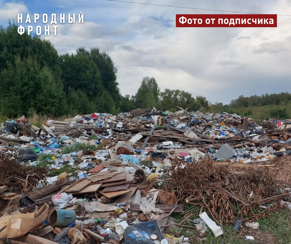 Около Вавиловки разрастается гигантская свалка отходов. Жители боятся, что из-за нее в ...