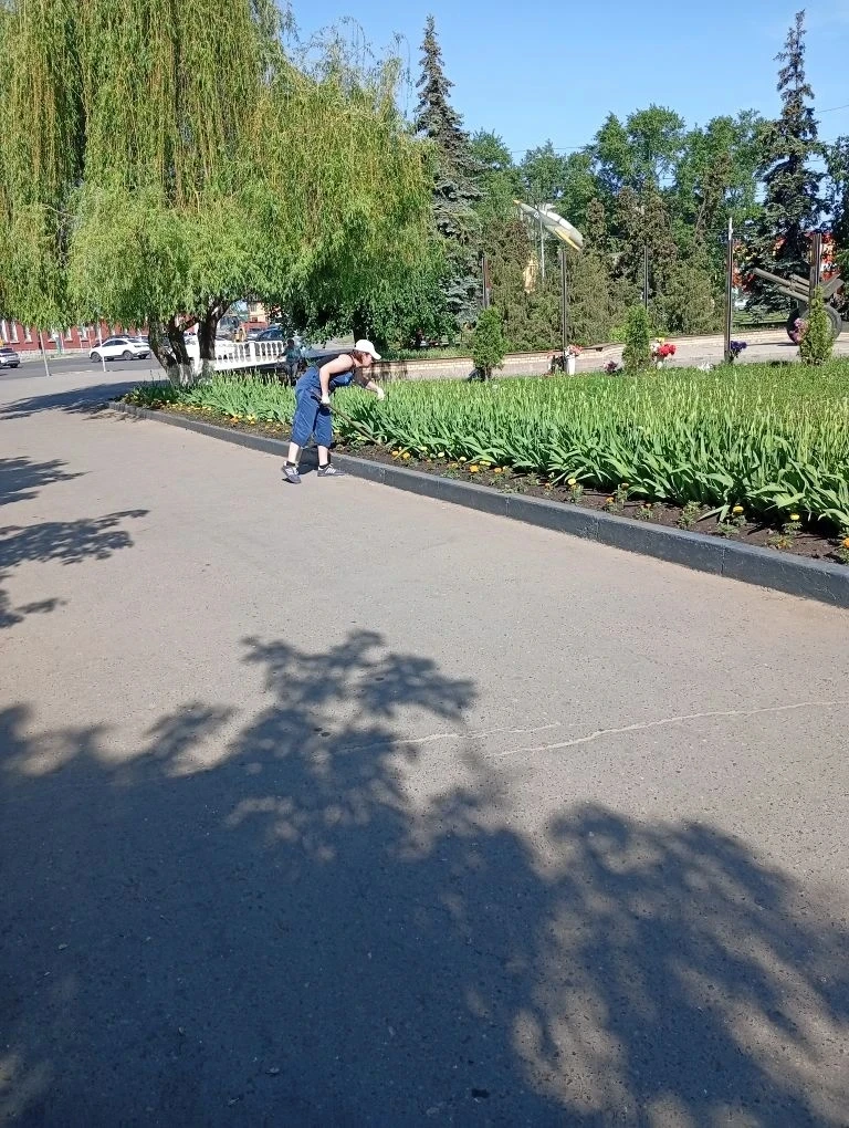 Прополка высаженных цветов на городских клумбах.