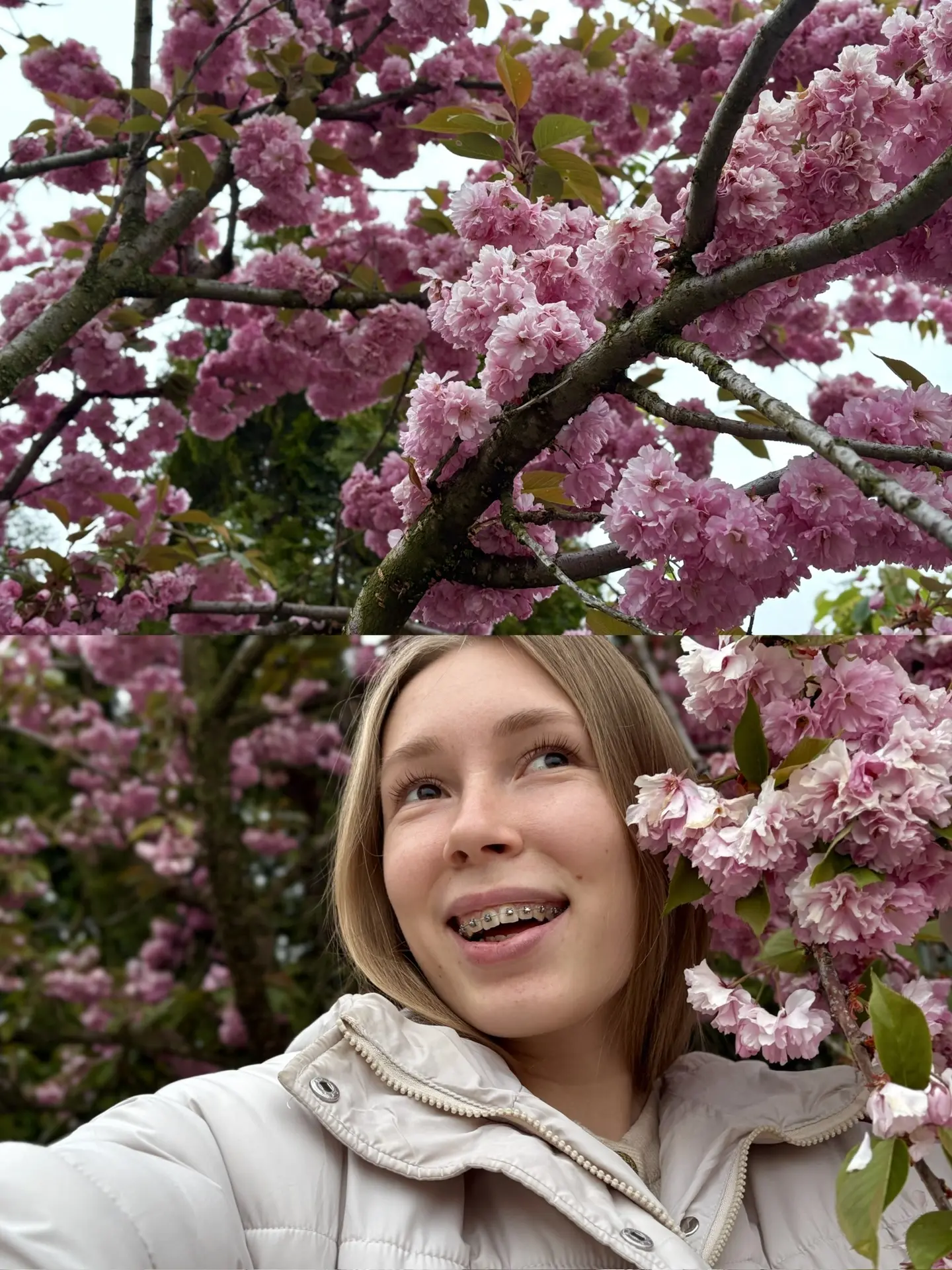 😍🌸🌸