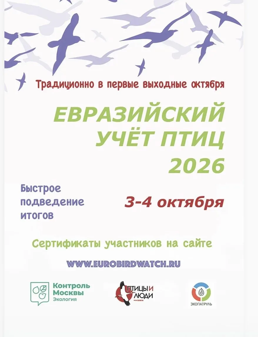 🐦 «Евразийский учёт птиц — 2026»: стань частью большой науки! 🐦