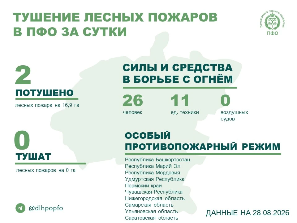 🔥️ За прошедшие сутки в регионах ПФО потушено 2 лесных пожара.