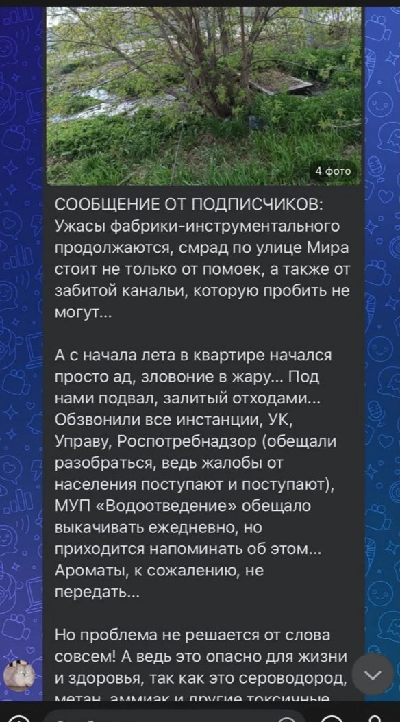 Медиа публикации