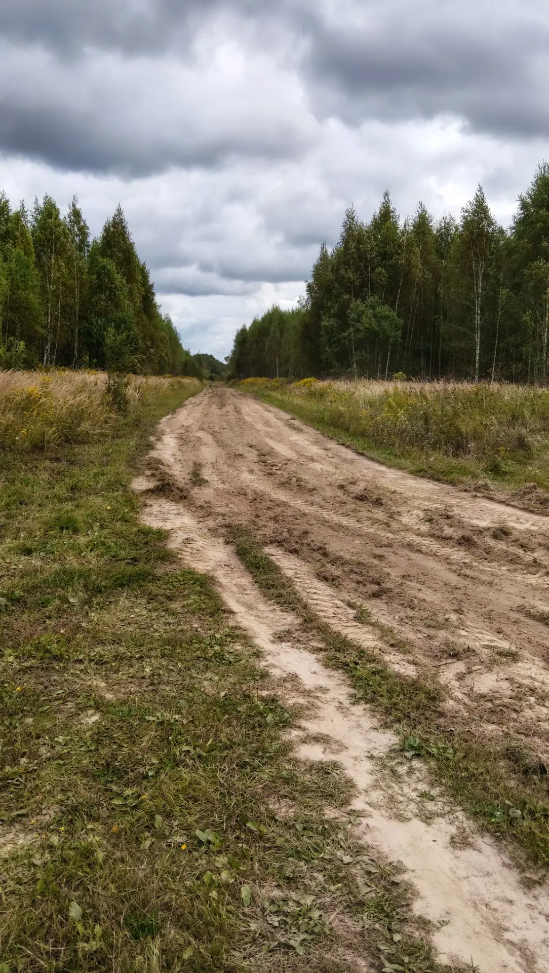 Сегодня отдел по работе с территориями,, Село Макарово,,частично прогрейдировали дороги...